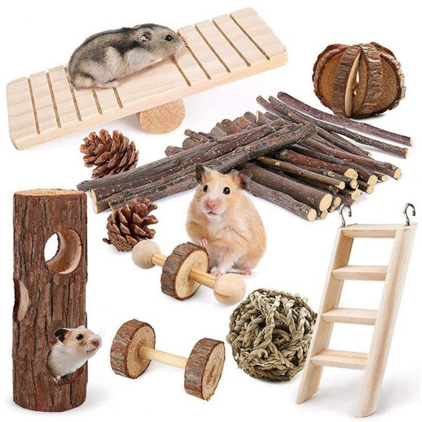 small animal supplies 10pcs/set helpful chew toy healthy fun promote intestinal digestion seesaw climbing ladder molar kit
small animal supplies 10pcs/set helpful chew toy healthy fun promote intestinal digestion seesaw climbing ladder molar kit