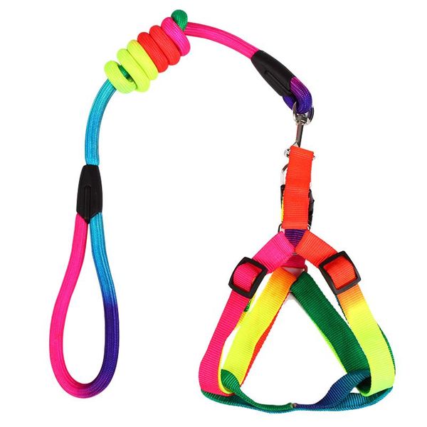 outdoor walking pet supplies colorful flexible nylon dog leash cat collar reflective pet chest harnessnot hurt the hands puppy
outdoor walking pet supplies colorful flexible nylon dog leash cat collar reflective pet chest harnessnot hurt the hands puppy