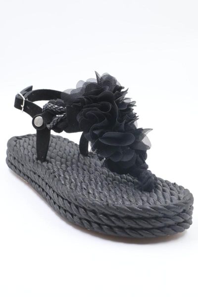 sandals 6077 black mesh female