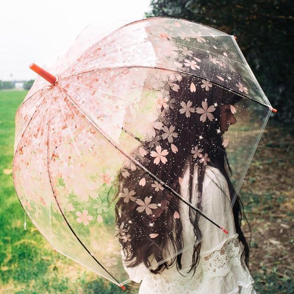 umbrellas 2021 transparent cherry blossom umbrella long handle girls retro candy colored bright princess
umbrellas 2021 transparent cherry blossom umbrella long handle girls retro candy colored bright princess