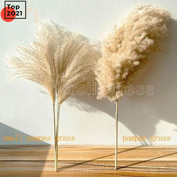 real pampas grass decor natural dried flowers plants wedding flowers dry flower bouquet fluffy lovely for holiday home decor fast ship co22
real pampas grass decor natural dried flowers plants wedding flowers dry flower bouquet fluffy lovely for holiday home decor fast ship co22