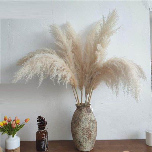 80cm nagaho natural reed dried flower big pampas grass bouquet wedding flower ceremony decoration modern home decoration
80cm nagaho natural reed dried flower big pampas grass bouquet wedding flower ceremony decoration modern home decoration