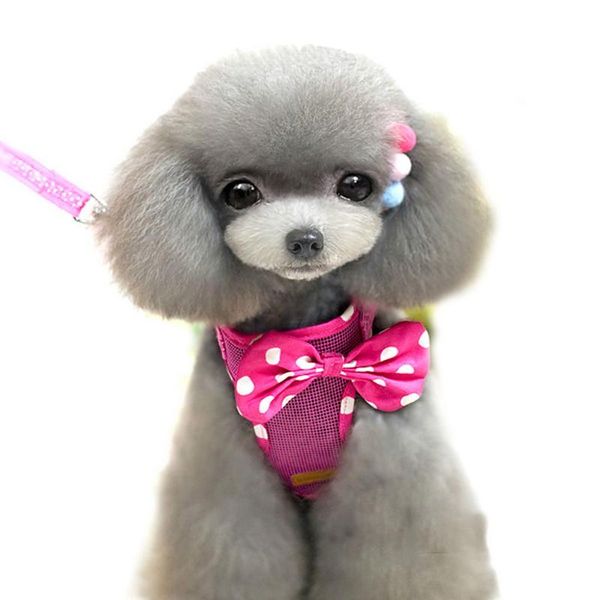 dog collars & leashes breathable soft mesh vest harness and matching leash bow for small cat girl walking no pull adjustble
dog collars & leashes breathable soft mesh vest harness and matching leash bow for small cat girl walking no pull adjustble