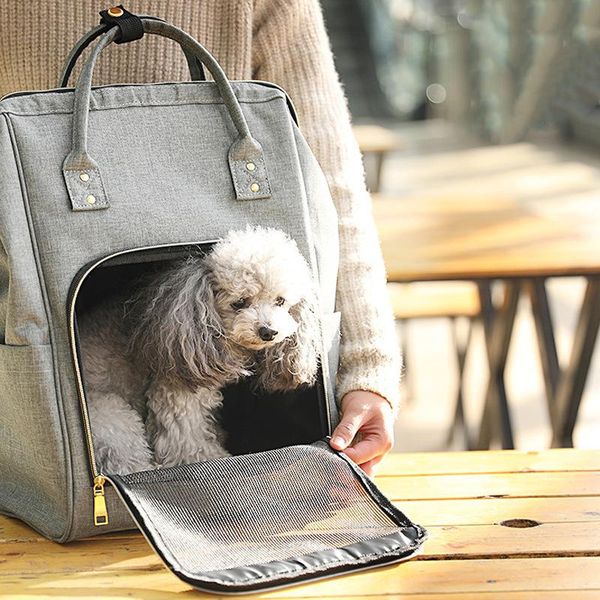 dog car seat covers @he luxury oxford pet carrier backpack puppy portable travel kitten animal tote outdoor single mesh perspective shoulder
dog car seat covers @he luxury oxford pet carrier backpack puppy portable travel kitten animal tote outdoor single mesh perspective shoulder