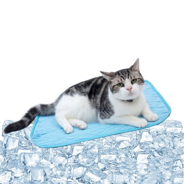 kennels & pens summer ice silk pad pet cat dog waterproof changing mat washable detachable cool mattress for small medium dogs
kennels & pens summer ice silk pad pet cat dog waterproof changing mat washable detachable cool mattress for small medium dogs