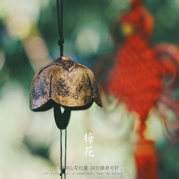 decorative objects & figurines japanese style furin wind chime nambu cast iron iwachu brown tulip shape
decorative objects & figurines japanese style furin wind chime nambu cast iron iwachu brown tulip shape