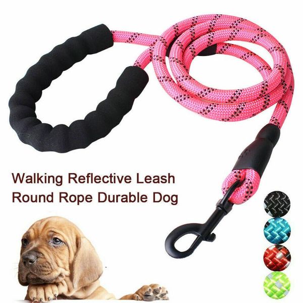 dog leash 5ft pet dog walk leads strong light soft reflective braided rope soft nylon g10
dog leash 5ft pet dog walk leads strong light soft reflective braided rope soft nylon g10