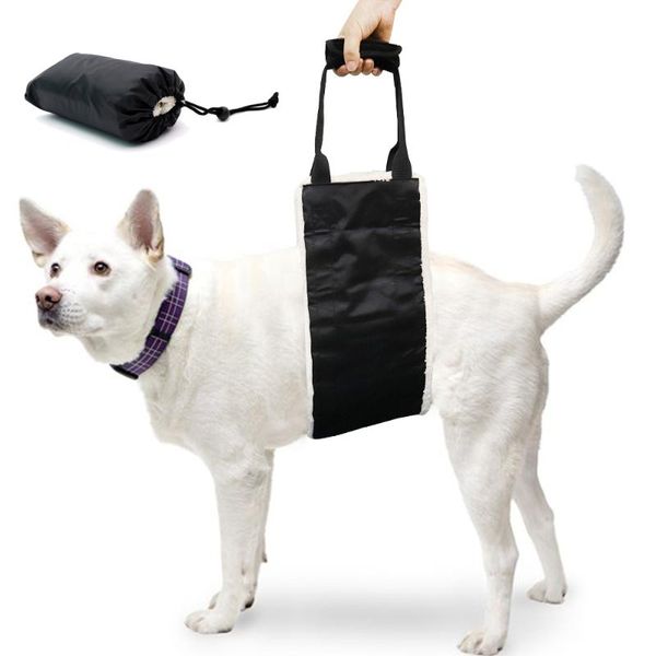 dog collars & leashes lift harness pet support canine aid assist sling vest for older dogs helps arthritic and weak joints
dog collars & leashes lift harness pet support canine aid assist sling vest for older dogs helps arthritic and weak joints