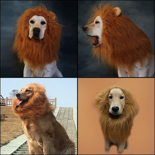 dog apparel 2021 hair ornaments pet costume halloween clothes fancy dress up lion mane wig for large dogs supplies
dog apparel 2021 hair ornaments pet costume halloween clothes fancy dress up lion mane wig for large dogs supplies