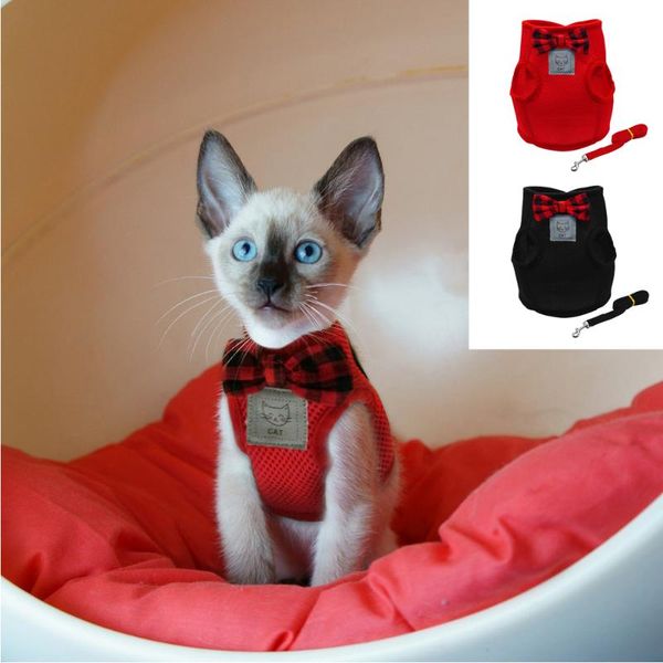 mesh bowtie cat harness and leash small cat walking harness pet kitten clothes red black
mesh bowtie cat harness and leash small cat walking harness pet kitten clothes red black