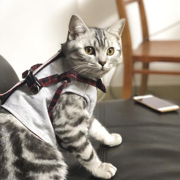 dog collars & leashes cat traction rope and walking vest-style artifact special for outing kitten anti-stroke strap home
dog collars & leashes cat traction rope and walking vest-style artifact special for outing kitten anti-stroke strap home
