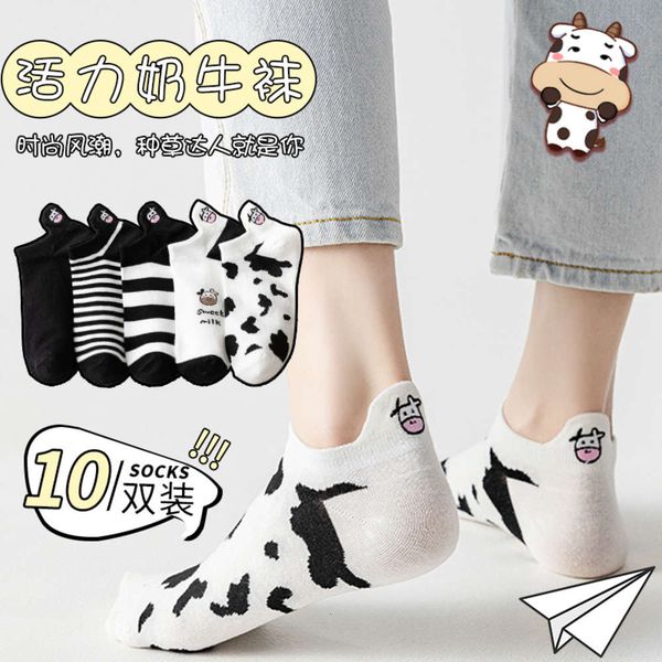 socks children summer socks shallow mouth thin women's short spring and low cute fashion, Black;white
socks children summer socks shallow mouth thin women's short spring and low cute fashion, Black;white