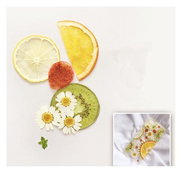 natural pressed real fruit slices,plant specimen for diy wedding birthday gift cards,phone shell decoration,scented jllxjd
natural pressed real fruit slices,plant specimen for diy wedding birthday gift cards,phone shell decoration,scented jllxjd