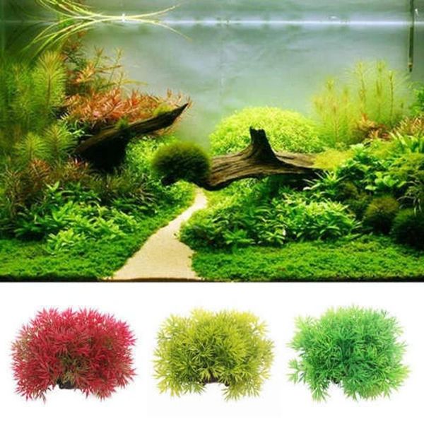 decorative flowers & wreaths 1pcs water grass plastic short wide plant simulation artificial plants for aquarium fish tank ornament decorati
decorative flowers & wreaths 1pcs water grass plastic short wide plant simulation artificial plants for aquarium fish tank ornament decorati