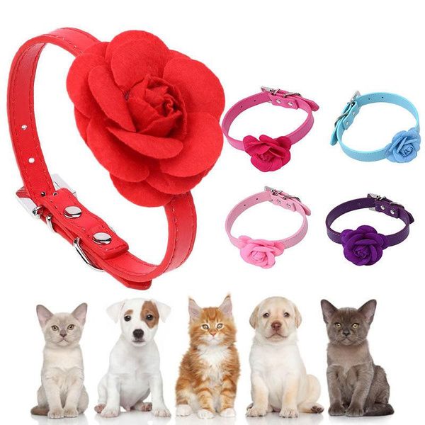 dog collars & leashes collar leash with flowers fit small medium dogs pu leather for cats decor teddy durable pet accessories
dog collars & leashes collar leash with flowers fit small medium dogs pu leather for cats decor teddy durable pet accessories
