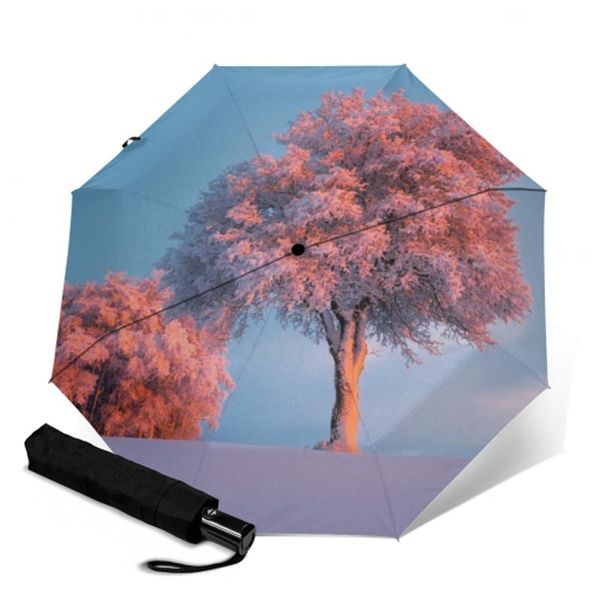 umbrellas windproof double automatic folding umbrella female male 8 bone car anti-uv business men rain women gift parasol
umbrellas windproof double automatic folding umbrella female male 8 bone car anti-uv business men rain women gift parasol