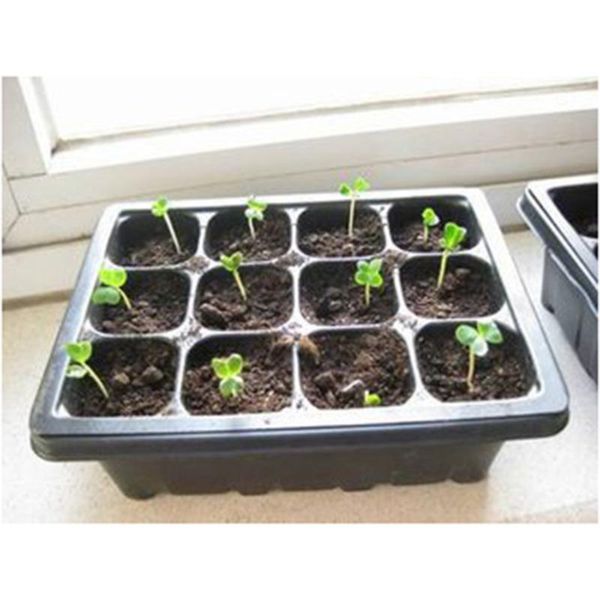 planters & pots 10 pcs 18x14x6cm tray sprout plate 12-cells nursery with transparent lids box for gardening bonsai (black)
planters & pots 10 pcs 18x14x6cm tray sprout plate 12-cells nursery with transparent lids box for gardening bonsai (black)