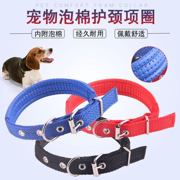 dog collars & leashes pet collar foam aluminum alloy big small and medium-sized available supplies
dog collars & leashes pet collar foam aluminum alloy big small and medium-sized available supplies