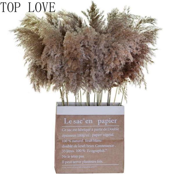 natural hay reed plant home decoration wedding flower bouquet bunch material feather dried flower natural reed
natural hay reed plant home decoration wedding flower bouquet bunch material feather dried flower natural reed