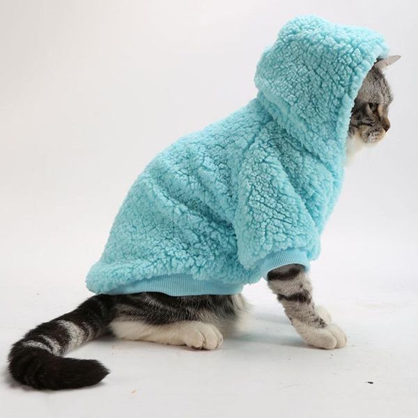 cat costumes clothes fashion hoodies soft sphynx kitty winter kitten small dogs cats coat jacket pet clothing
cat costumes clothes fashion hoodies soft sphynx kitty winter kitten small dogs cats coat jacket pet clothing