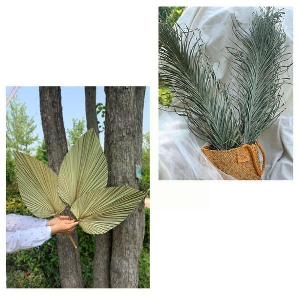decorative flowers & wreaths palm fan leaf dried flower natural wall plant diy party decoration hanging art wedding r3d6
decorative flowers & wreaths palm fan leaf dried flower natural wall plant diy party decoration hanging art wedding r3d6