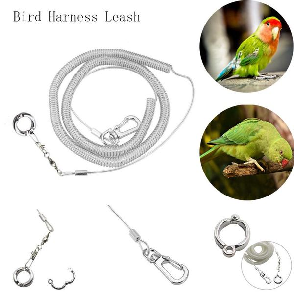 other bird supplies adjustable pet parrot harness and leash kit anti-bite outdoor flying training rope for macaw cockatiel parakeet lovebird
other bird supplies adjustable pet parrot harness and leash kit anti-bite outdoor flying training rope for macaw cockatiel parakeet lovebird