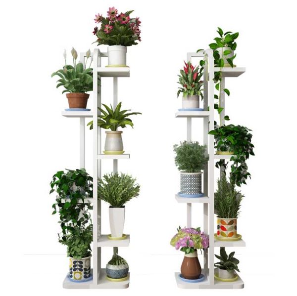 living room succulent green dill flower stand wrought iron multifunctional hanging orchid hooks & rails
living room succulent green dill flower stand wrought iron multifunctional hanging orchid hooks & rails