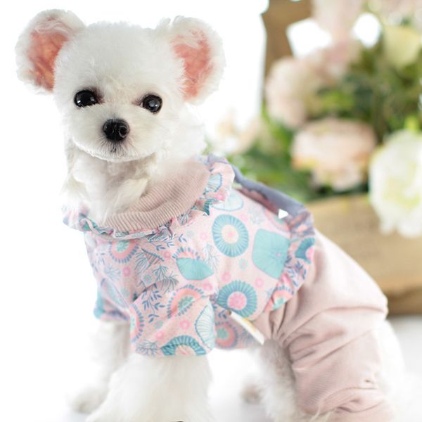 pet cloth 21 autumn winter dog cat teddy chicken flower four legged
pet cloth 21 autumn winter dog cat teddy chicken flower four legged