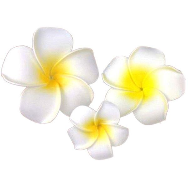 hair clips 3 pcs hawaiian plumeria flower headpiece hairpin barrette clip accessory fancy dress for wedding
hair clips 3 pcs hawaiian plumeria flower headpiece hairpin barrette clip accessory fancy dress for wedding
