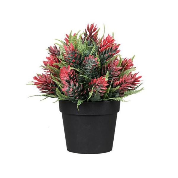 decorative flowers & wreaths artificial plants potted office deskgreen simulation flower nordic black tower tree frosted plastic bonsail
decorative flowers & wreaths artificial plants potted office deskgreen simulation flower nordic black tower tree frosted plastic bonsail