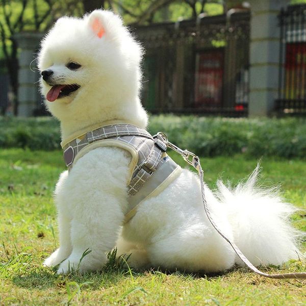 dog collars & leashes pet cat harness reflective mesh puppy with leash plaid walking lead soft chest strap
dog collars & leashes pet cat harness reflective mesh puppy with leash plaid walking lead soft chest strap