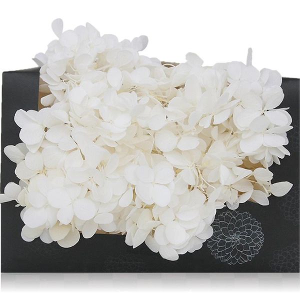 decorative flowers & wreaths 5g/lot,grade a preserved atlantist hydrangea,nature fresh flower head for gift box decoration,eternal rose brid
decorative flowers & wreaths 5g/lot,grade a preserved atlantist hydrangea,nature fresh flower head for gift box decoration,eternal rose brid