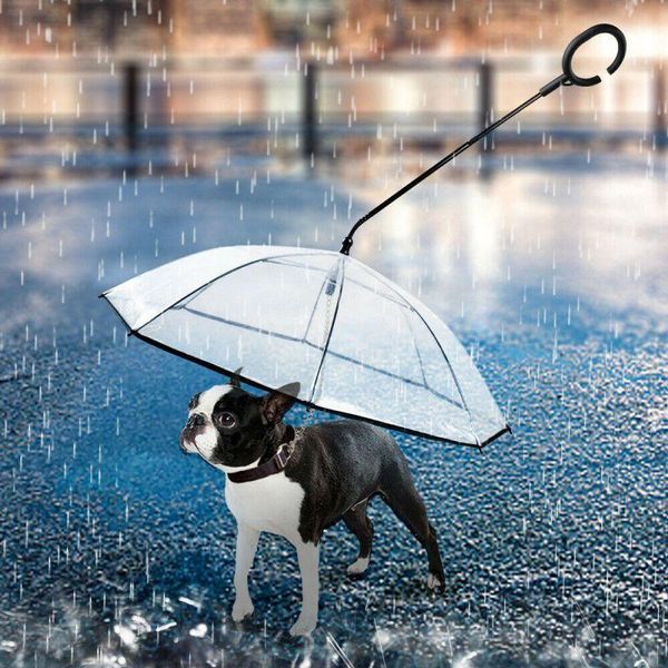 umbrellas transparent pet umbrella dog c-type supplies adjustable rain day hyena traction rope gear
umbrellas transparent pet umbrella dog c-type supplies adjustable rain day hyena traction rope gear
