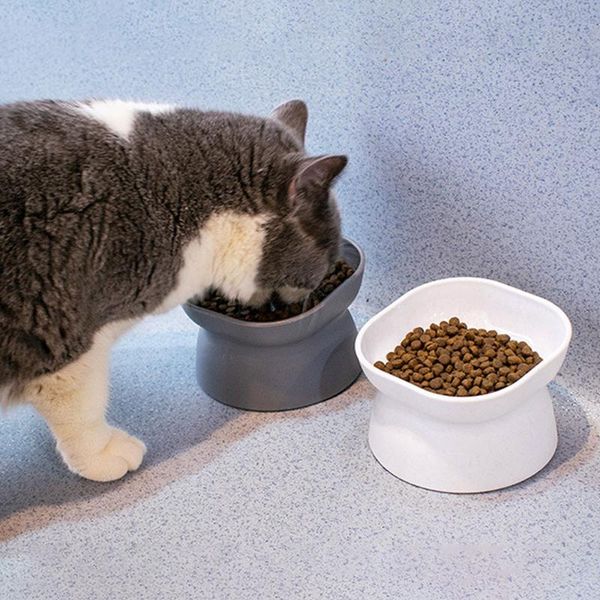 cat bowls & feeders bowl high foot dog pet food water anti-overturning puppy feeding cup feeder for small medium
cat bowls & feeders bowl high foot dog pet food water anti-overturning puppy feeding cup feeder for small medium