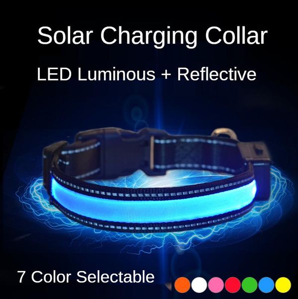 solar charging dog collar usb led anti-lost/avoid car accident for dogs collars glowing flashing & leashes
solar charging dog collar usb led anti-lost/avoid car accident for dogs collars glowing flashing & leashes