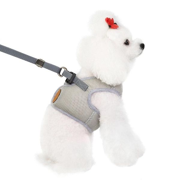 dog collars & leashes pet mesh chest and back cover with traction rope lightweight comfortable breathable soft durable cat supplies
dog collars & leashes pet mesh chest and back cover with traction rope lightweight comfortable breathable soft durable cat supplies