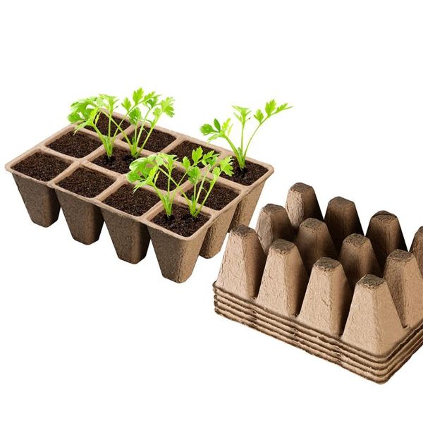 planters & pots 875a 10pcs seedling starter tray plant germination box organic seed nursery cup pot
planters & pots 875a 10pcs seedling starter tray plant germination box organic seed nursery cup pot