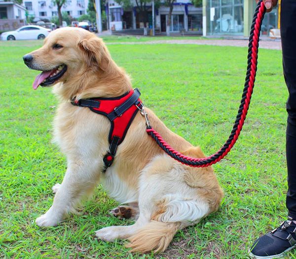 dog collars & leashes nylon harnesses for thicken dogs harness harnais chien outdoors harnas hond leash suit large
dog collars & leashes nylon harnesses for thicken dogs harness harnais chien outdoors harnas hond leash suit large