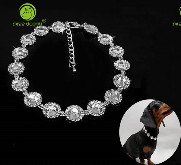 cat collars & leads crystal rhinestone pet necklace delicate bling collar shiny neckerchief for wedding accessories products
cat collars & leads crystal rhinestone pet necklace delicate bling collar shiny neckerchief for wedding accessories products