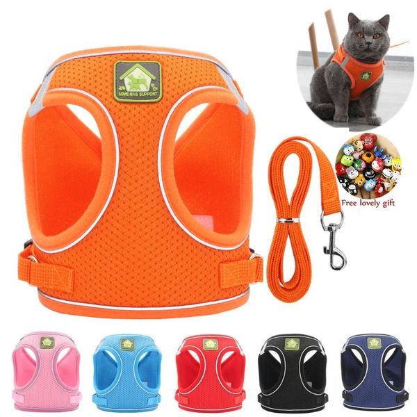 cat collars & leads reflective cats kitten vest harness leash set for small medium dogs supplies breathable chest strap walking
cat collars & leads reflective cats kitten vest harness leash set for small medium dogs supplies breathable chest strap walking