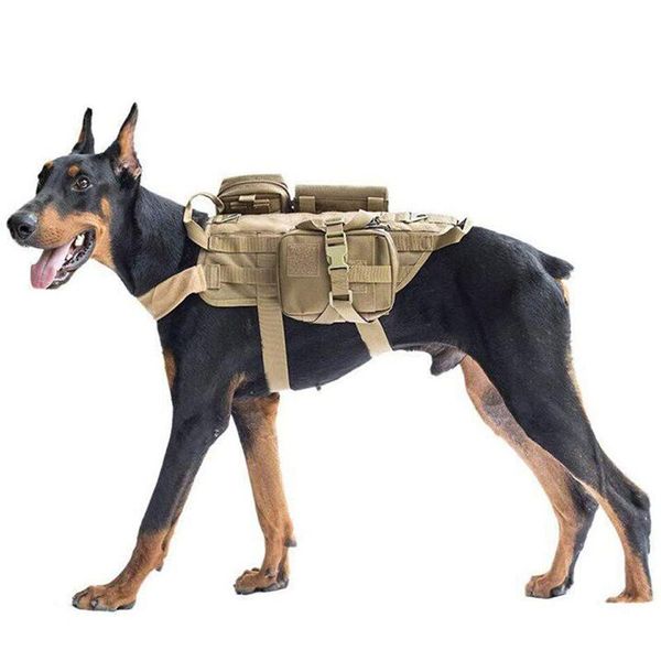 military tactical dog harness german shepherd pet vest with handle nylon bungee leash clothes collars & leashes
military tactical dog harness german shepherd pet vest with handle nylon bungee leash clothes collars & leashes