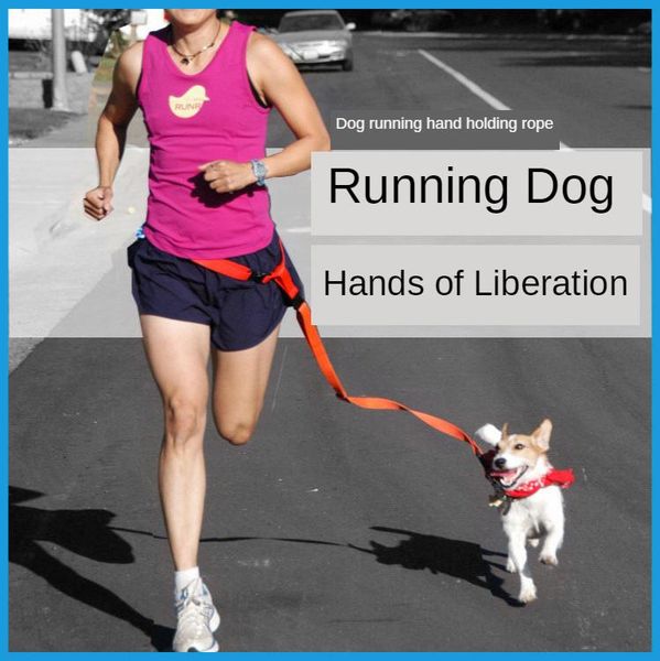 1pcs hands dog pets lead walking running jogging waist belt leash adjustable special traction rope supplies tools collars & leashes
1pcs hands dog pets lead walking running jogging waist belt leash adjustable special traction rope supplies tools collars & leashes