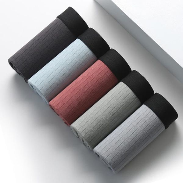 underpants boxer cotton men's, comfortable underwear, stripe, needle, fashion, breathable, large, 2021, Black;white
underpants boxer cotton men's, comfortable underwear, stripe, needle, fashion, breathable, large, 2021, Black;white