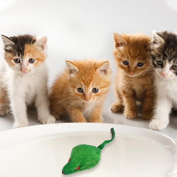 teeth grinding catnip cat toys mice mouse balls feather pet toy interactive plush chew bite cats supply
teeth grinding catnip cat toys mice mouse balls feather pet toy interactive plush chew bite cats supply
