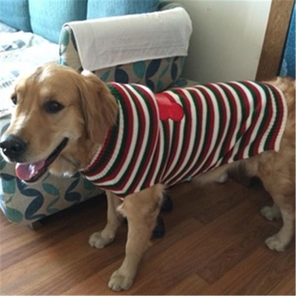 dog apparel autumn and winter leisure styles pet clothing warm comfortable stylish cute christmas stripe sweaters large
dog apparel autumn and winter leisure styles pet clothing warm comfortable stylish cute christmas stripe sweaters large