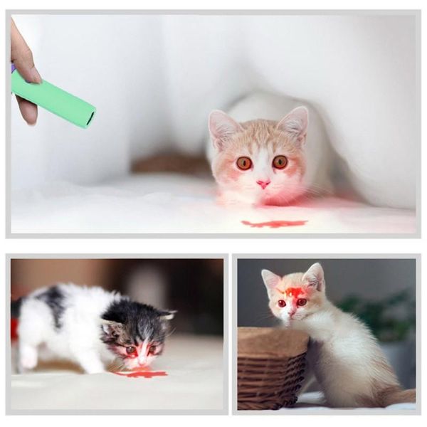 cat toys pet toy funny led laser projection light teasing sight pointer pen interactive puzzle #
cat toys pet toy funny led laser projection light teasing sight pointer pen interactive puzzle #