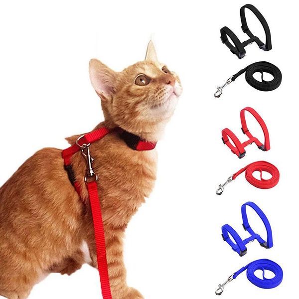 cat collars & leads nylon harness and leash set pet products for animals adjustable puppy dog traction belt kitten halter collar
cat collars & leads nylon harness and leash set pet products for animals adjustable puppy dog traction belt kitten halter collar
