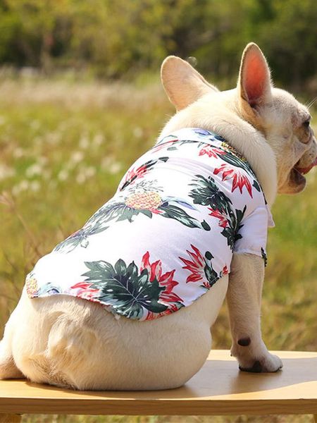 dog apparel summer shirts for dogs hawaiian shirt pet cat clothing schnauzer yorkshire pomeranian poodle bichon
dog apparel summer shirts for dogs hawaiian shirt pet cat clothing schnauzer yorkshire pomeranian poodle bichon