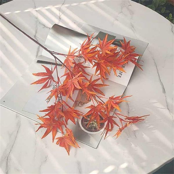 decorative flowers & wreaths simulation of greenplants,80cmsinglebranch4forksmapleleaf, homedecoration,fakebranches in weddinghall,softdecor
decorative flowers & wreaths simulation of greenplants,80cmsinglebranch4forksmapleleaf, homedecoration,fakebranches in weddinghall,softdecor