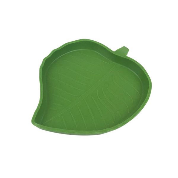 cat bowls & feeders leaf shaped food water for reptiles tortoise snakes spiders lizards drinking foods feeder small pet feeding
cat bowls & feeders leaf shaped food water for reptiles tortoise snakes spiders lizards drinking foods feeder small pet feeding